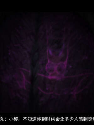 [DDK00] 蛇之仆·樱06_288