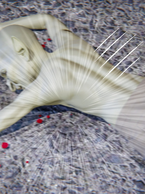 [ash]魔法少女外传-魔法猫咪_146