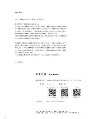 [Pixel Cot. (羽原メグル)] 月雪の宿 (ブルーアーカイブ) [DL版]_23