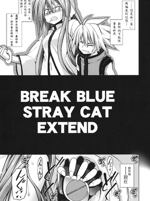 (C81) [STUDIO TIAMAT (TANABE)] BREAK BLUE STRAY CAT EXTEND (ブレイブルー) [蒼翼到底要不要出新作個人翻譯]_05_xsln