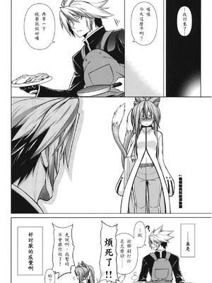 (C81) [STUDIO TIAMAT (TANABE)] BREAK BLUE STRAY CAT EXTEND (ブレイブルー) [蒼翼到底要不要出新作個人翻譯]_30_xcut