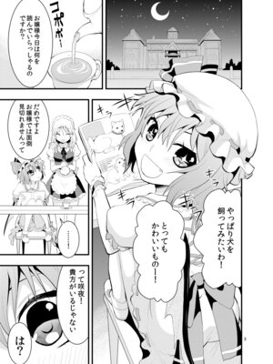 [Berry!16 (さき千鈴)] ルナ・ダイアル（さき千鈴ページのみ） (東方Project) [DL版]_04_bgqx