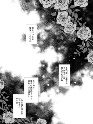 [プリンを食べるお馬さん (うつぼのるつぼ)] 彼女と彼女の幸福原理 ～魔女は用心棒に恋をした～_04_bdtg