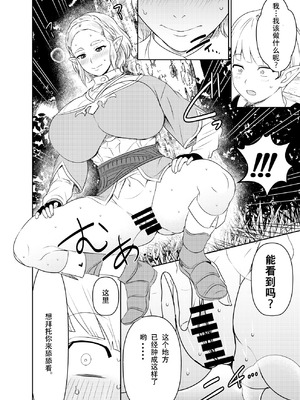 [オスワーニ] リクエストいただいたものです (ゼルダの伝説) [魚子醬漢化]_22_qnxr