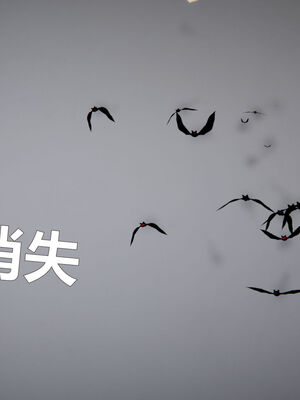 [zf330]靠低级技能魅惑的我开始拯救世界02上_024