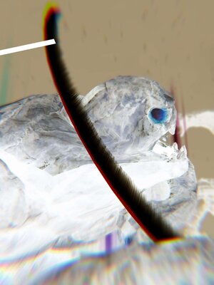 [bagnall] 神谕 第三季 12_204