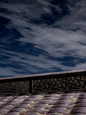 [bagnall] 神谕 第三季 13_081