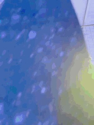 Umeko J - Viper_135_ufni