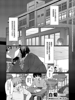 [白菊] 青灯に集う_504_tqyv