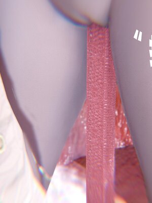 [bagnall] 神谕 第三季 番外 骑士协会_202