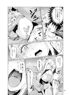 [レイドソックス (トリッキー)] 狂乱の討伐姫ダリア4_33_rfsa