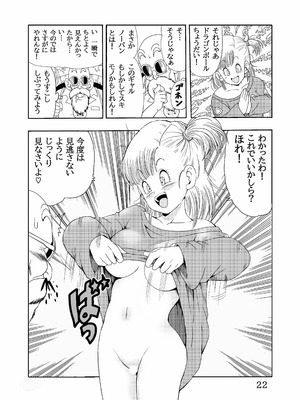 [モンキーズ (ヤングじじい)] エピソードオブブルマフルリメイクバージョン (ドラゴンボール) [DL版]_23_rhjd