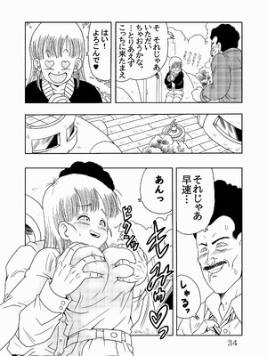 [モンキーズ (ヤングじじい)] エピソードオブブルマフルリメイクバージョン (ドラゴンボール) [DL版]_35_xarp