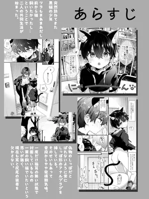 (C106) [紺色ドロップス (森島コン)] ちょっと怖いおねーさんに飼ってもらう事になりました。2_04_msdj