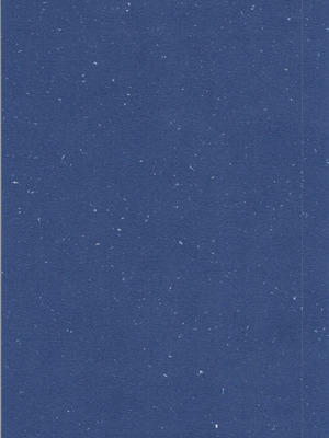 (C106) [ワンオアエイト (おどち)] 猫飯店へようこそ (らんま1／2)_03_qgvx