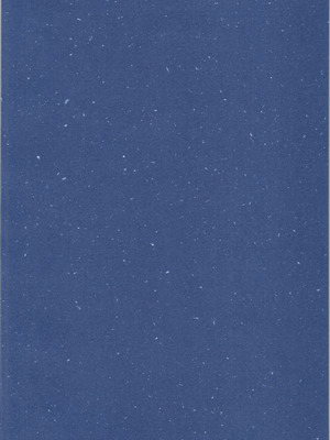 (C106) [ワンオアエイト (おどち)] 猫飯店へようこそ (らんま1／2)_04_pdpu