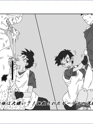 [Alice.Blood]洗脳教育室 ～総集編 Vol.01～[中国翻訳][粗碼][殘缺]_259