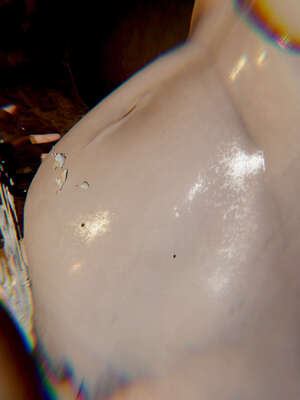 [Jayep]武林 04-九阳神功 中_125