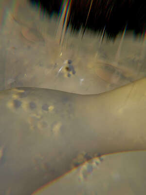 [Jayep]武林 12-碎魂大法 下_028