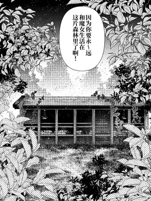 [プリンを食べるお馬さん]きみの光に毒されて ―魔女は愛を手放さない― [中国翻訳]_44_hlhh