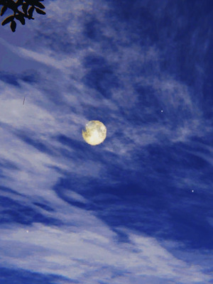 [A恶魔]阳痿大侠-空间传说之神与罪01_024