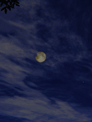 [A恶魔]阳痿大侠-空间传说之神与罪03_075