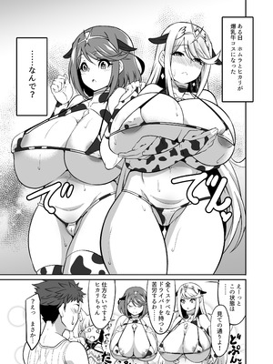 [白い闇 (k-you)] WHITE DROP (ゼノブレイド2) [DL版]_02_kmke