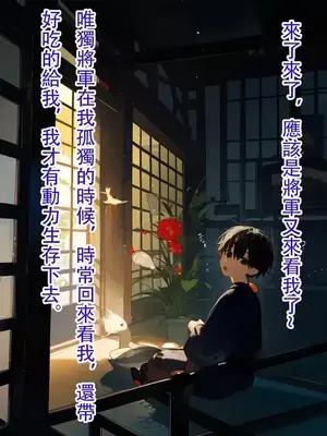 [DYOSHI_S] RAIDEN SHOGUN 1--3章整合_b00015