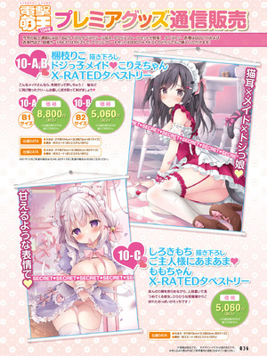 電撃萌王 2025年10月号 [DL版]_044_sskw