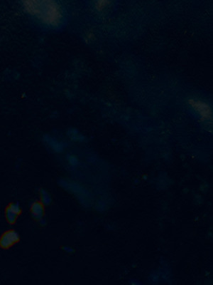 [dfifuw98] 封魔忍 小夜子 11-14_102_11_102