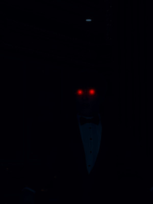 [dfifuw98] 封魔忍 小夜子 11-14_735_14_99