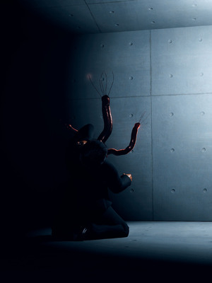 [dfifuw98] 封魔忍 小夜子 11-14_799_14_163