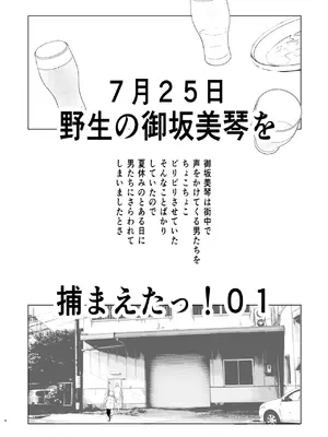 [虚無の歌 (佐藤登志雄)] 夏休みこっちゃん自由研究01 + 02 (とある科学の超電磁砲)_(104)