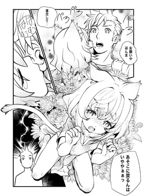 [Studioぬこたわ (りくぱ)] ウチのソシャゲに猫耳が実装されました_12