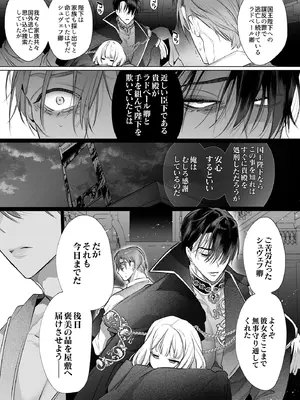 [Yatomomin (山本ともみつ)] 悪役になれなかった追放令嬢は甘く優しく蕩かされる～呪術師とふたりきり、溺愛の10日間。～ [DL版]_030