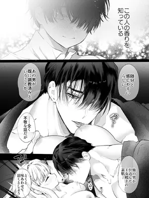 [Yatomomin (山本ともみつ)] 悪役になれなかった追放令嬢は甘く優しく蕩かされる～呪術師とふたりきり、溺愛の10日間。～ [DL版]_049