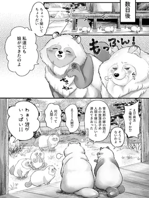 [鏡井] スパダリ狸のお嫁さんになりたいので、Hな診察に耐えて本気の巣ごもり子作りセックス頑張ります [DL版]_084