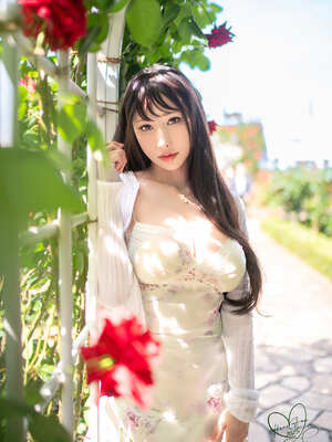 [HaneAme雨波] 原创 玫瑰刚好绽放_12