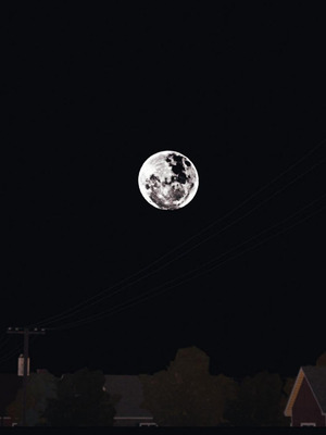 调教丝袜美母03-04_03-0081