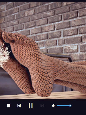 [Peter]调教丝袜美母01_068