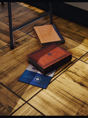 [Peter]调教丝袜美母08_100