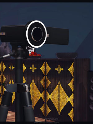 [Peter]调教丝袜美母09_279