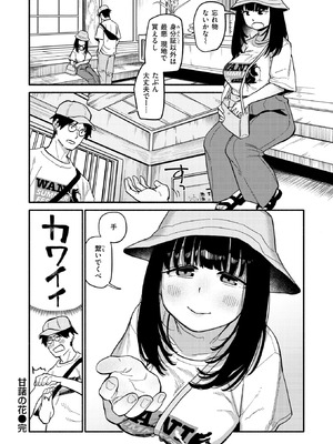 [層積] 甘藷の花_148_rcej