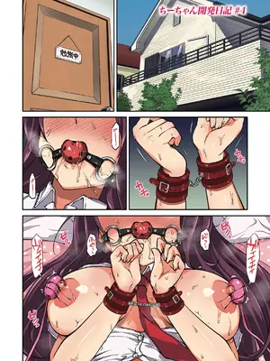 [むちゃ] ちーちゃん開発日記 [DL版]_100