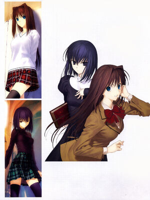 [TYPE-MOON] 魔法使いの夜 初回特典「魔法使いの基礎音律」[中国翻訳]_IMG_0757