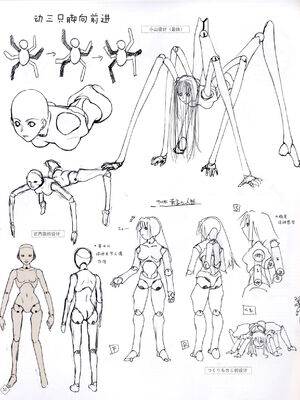 [TYPE-MOON] 魔法使いの夜 初回特典「魔法使いの基礎音律」[中国翻訳]_IMG_0802