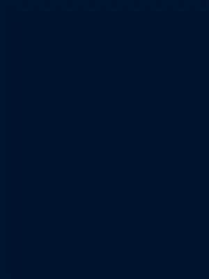 [行火灯火 (あんかともしび)] すいちゃん開発日記 (星街すいせい) [DL版]_29