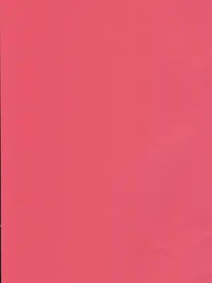 (C100) [大事なことは二回も言わない (はせべso鬱)] 被虐の断片_23