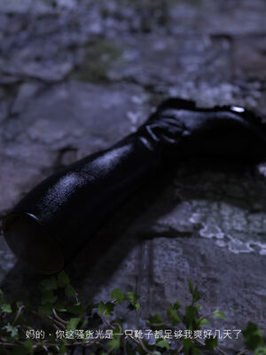 [桃花铺子]银雪女侠之侠隐迷踪01_095