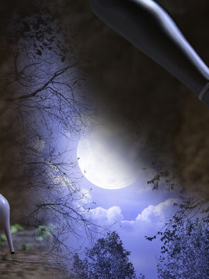 [桃花铺子]银雪女侠之侠隐迷踪01_149